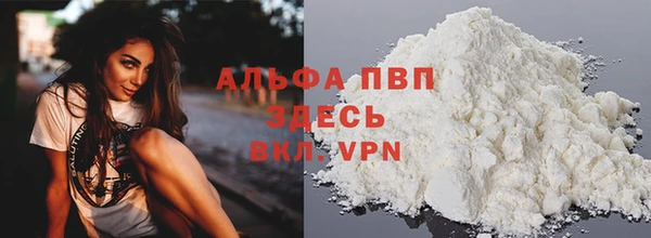 амф Верея