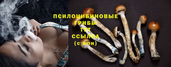 амф Верея